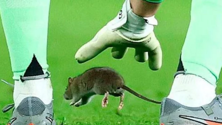 news-cover